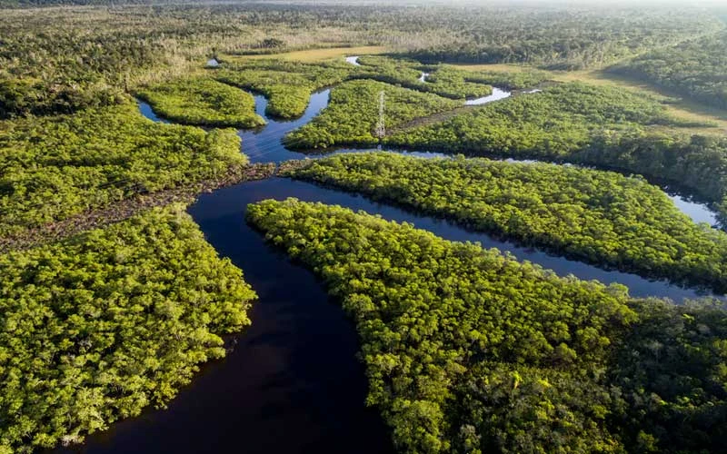 Amazonas em Alerta: Estiagem de 2024 Pode Superar a de 2023