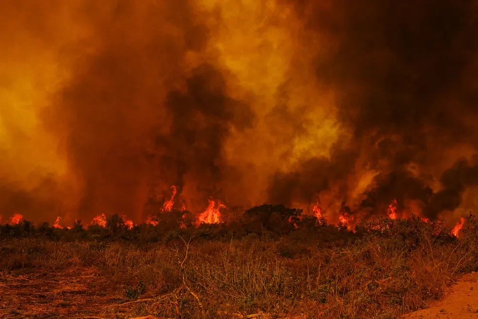 incendio pantanal