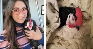 MULHER ADOTA GALO