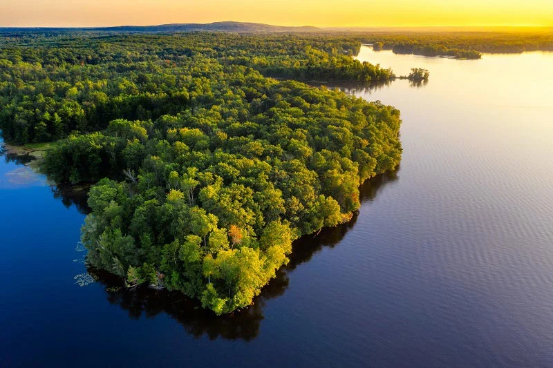 aBelém Lança Museu das Amazônias para Preservação Ambiental