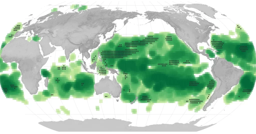 Por que os oceanos estão mudando de cor? Entenda por que!