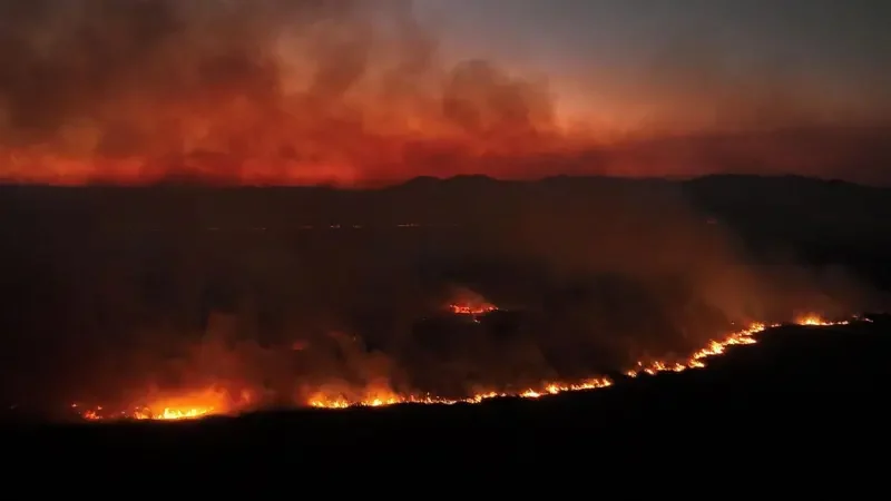 Amazônia: O que está alimentando a crise de incêndios na maior floresta tropical do mundo?