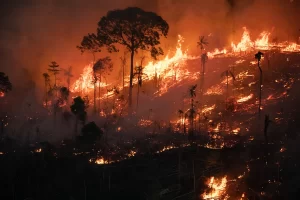 queimadas amazonia