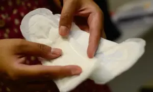 absorvente
