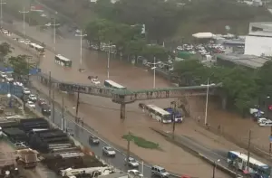 SALVADO