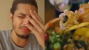 barata-comida-viva (1)