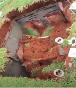 image_870x_679152eebbbf9 (1)