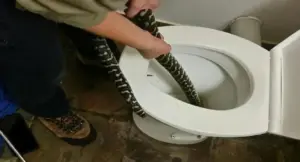 Homem é picado por cobra píton ao sentar em vaso sanitário cobraa