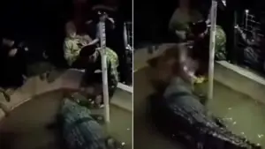 idoso-jacare-ataque_reproducao-redes_