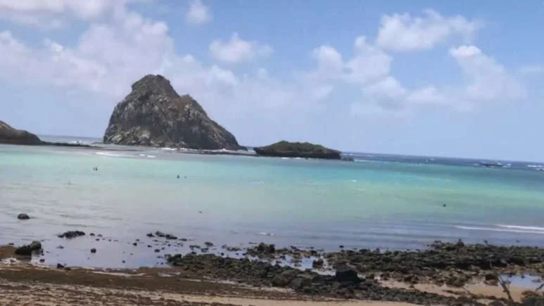 Tubarão de Duas Cabeças É Encontrado em Praia do Brasil e Intriga Cientistas
