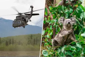 AUSTRARIA-COALAS (1)