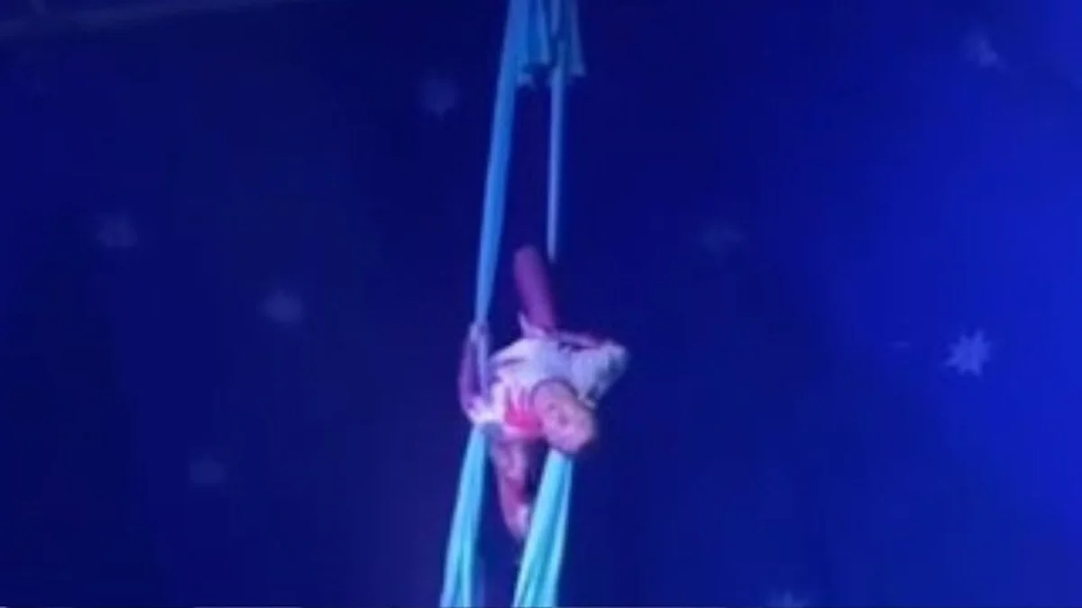 CIRCO-ACROBATA