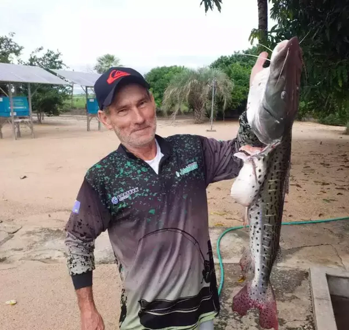 pantanal (1)