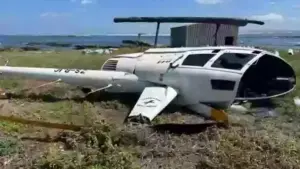 Pinguim solto causa acidente em helicóptero na África do Sul pinguim-elicoptero-africa0do0sul