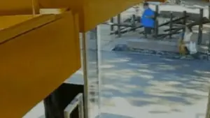 Vídeo revela momento exato em que turista perde carteira antes de acusar baiana injustamente turista-argentina-acusou-baiana-de-receptivo-de-furto-2702249-article (1)