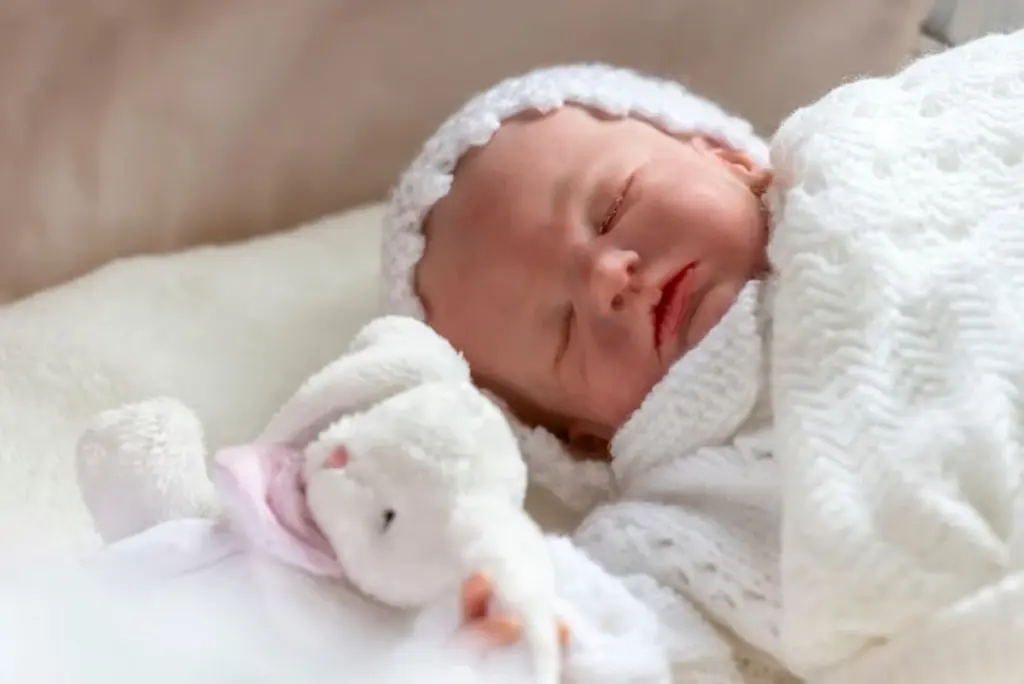BEBÊ REBORN