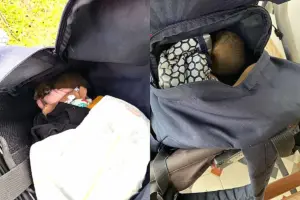 Mulher encontra bola de pelos misteriosa dentro de bolsa de fraldas 660x0_1748798726_683c8d0670b2a_hd (1)