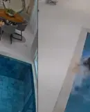 FOFOGRAFO