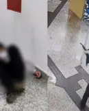 homem-e-baleado-quando-tentava-roubar-banco-2772733-article (1) (1)
