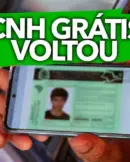 CNH (1)
