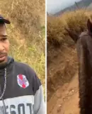 andrey-guilherme-e-investigado-por-maus-tratos-contra-animal-2871799-article (1)