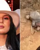 cavalo-morto-cenas-fortes4