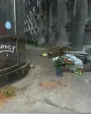 gatos-mortos-foram-achados-2848313-article (1)
