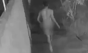 image_870x_689bcbb8c21b8 (1)