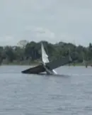 AVIAO