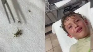 caso-ocorreu-com-filho-da-influenciadora-kitzia-mitre-2922041-article (1) (1)