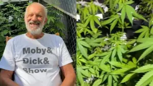 Ex-ator da Globo é alvo de operação policial por plantação de maconha: ‘Foram educados e profissionais’ ator-ricardo-petraglia-mostra-sua-plantacao-de-cannabis-no-sitio-e-revela-uso-medicinal-2933860-article (1)