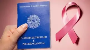 INSS 2025: Pessoas com Câncer Podem Ter Direito a Aposentadoria, Auxílio e Isenção de Impostos — Veja as Regras carteira-de-trabalho (1)